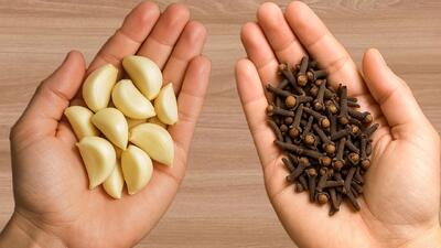 میخک و سیر در خانه دارید / روشی طبیعی برای از بین بردن حشرات در خانه