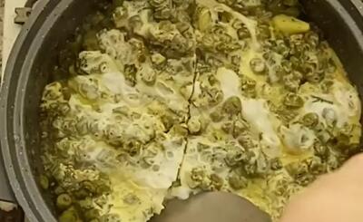 طرز پخت لوبیا وابیج عطر ناب و طعم دلنشین با پروتئین سالم گیاهی!