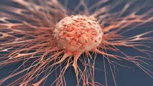 واکسن گونه‌های پرخطر HPV باید وارد واکسیناسیون عمومی شود