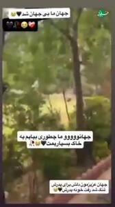 پیش‌بینی امید جهان از زمان مرگش