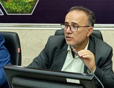 نماینده مجلس: فعالیت سکوهای برخط عرضه داروهای خاص نیازمند نظارت دقیق است