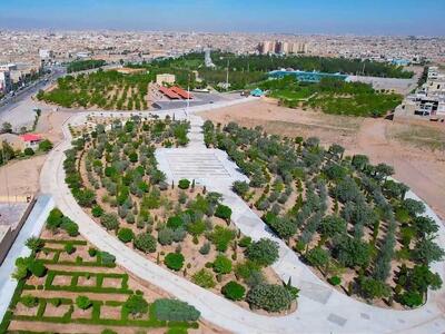 افزایش ۱۵۰ هکتاری فضای سبز شهر یزد/مدیران اعتقادی به فضای سبز ندارند