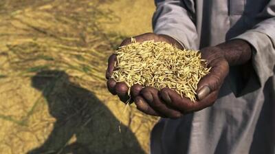 توافق تجاری هند با اتحادیه اروپا به چراغ قرمز رسید