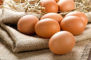 نگاه روز| تولید تخم مرغ با طعم میوه توسط ژاپن + عکس