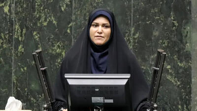 حذف یارانه دهک‌های بالا شرط اصلی کارآمدی طرح است / کالابرگ در شیوه فعلی ناکارآمد است