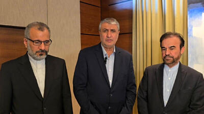 سفر به وین با دستاوردهای مهم به پایان رسید / گامی مثبت برای ایران