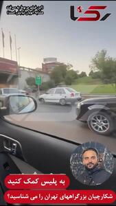 فیلم / شکارچیان موتورسوار بزرگراه های تهران را می شناسید؟ / به پلیس کمک کنید