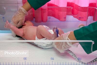 هر ۱۱ ساعت، یک نوزاد در خراسان رضوی متولد می‌شود