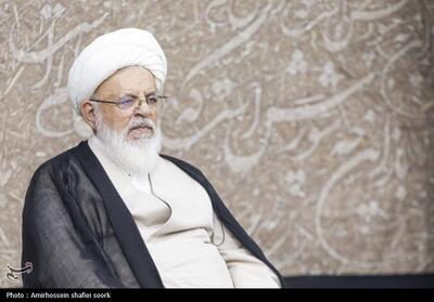 تأکید آیت‌الله ناصری بر امانت‌داری متولیان در حفظ موقوفات - تسنیم