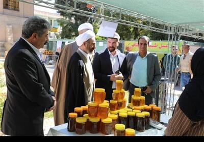 فرصت طلایی اربعین برای افزایش درآمد زنبورداران ایلامی - تسنیم