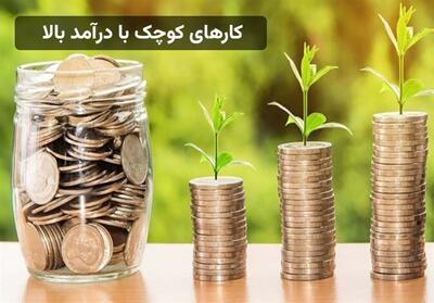 کارهای کوچک با درآمد بالا در خانه مناسب زنان و مردان - تسنیم