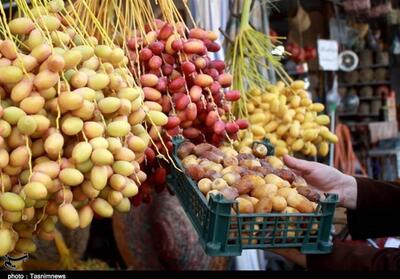 65 هزار تن خرمای هرمزگان راهی بازارهای صادراتی شد - تسنیم