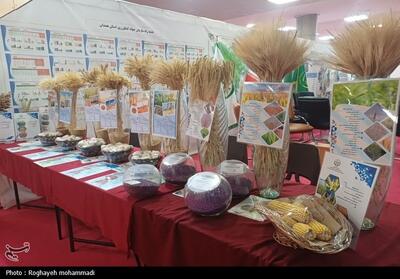 تمایل چین به استفاده از محصولات کشاورزی مازندران - تسنیم