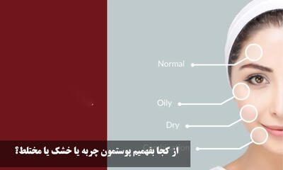 از کجا بفهمیم پوستمون چربه یا خشک یا مختلط؟ پوست چرب بهتر است یا خشک؟