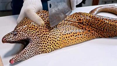 طرز پخت مارماهی مورای به روش غذای خیابانی هانوی (فیلم)