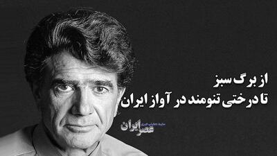 محمدرضا شجریان: از برگ سبز تا درختی تنومند در آواز ایران (+صدا)