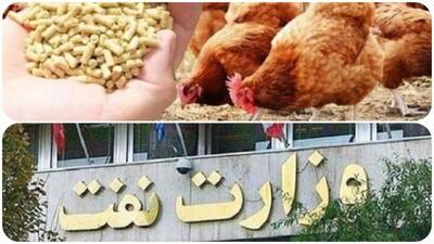 وزیر نفت و بحران مرغ ۲۰۰ هزارتومانی؛به جای ارز وعده تحویل می دهند!