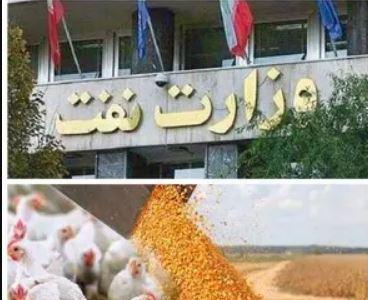 به جای تخصیص ارز وعده تحویل می دهند! - اکونیوز
