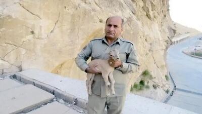 ۱۰۳ روز بلاتکلیفی درباره پرونده قتل یک محیط بان/ پرونده قتل محیط‌بان «هدایت‌الله دیده‌بان» همچنان در انتظار وکیل | اقتصاد24