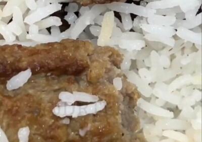 واکنش دانشگاه علوم پزشکی همدان به ماجرای «کرم در غذای دانشجو»؛ غذا پس از توزیع در شرایط نامناسبی نگهداری‌ شده