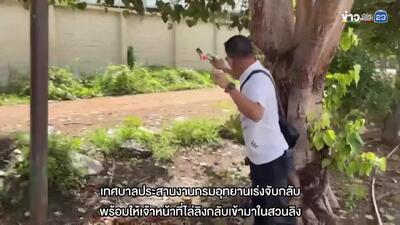 حمله ۱۰۰ میمون جوان به یک ایستگاه پلیس و ساختمان‌های مسکونی مجاور در تایلند