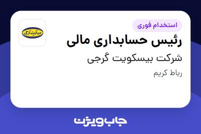 استخدام رئیس حسابداری مالی در شرکت بیسکویت گرجی
