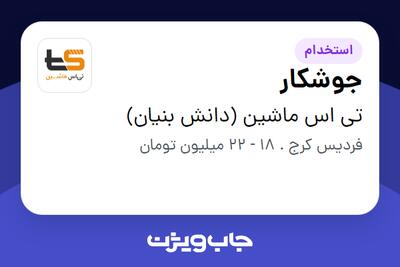 استخدام جوشکار - آقا در تی اس ماشین (دانش بنیان)
