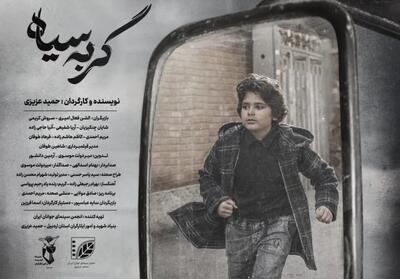 «گربه سیاه» تنها نماینده اردبیل در جشنواره بین‌المللی فیلم کودک شد