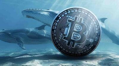 بیداری نهنگ ۱۲ ساله بیت‌کوین درست پیش از نشست فدرال رزرو؛ هزار BTC کجا رفت؟