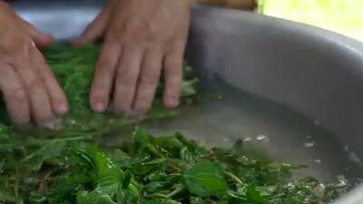 سفر به طعم غذاهای روستایی؛ دوغ تازه، سوپ ماست و نان تنوری آذربایجان / فیلم