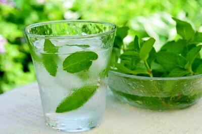 فرمول طلایی فریز کردن نعناع برای استفاده طولانی‌مدت | با این ترفند همیشه نعناع تازه داریم