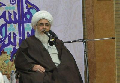 چرایی محبوبیت رهبر انقلاب از زبان آیت الله سیستانی - تسنیم