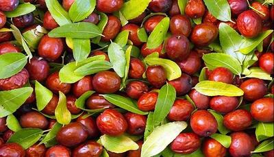 خواص شگفت‌انگیز این ماده غذایی؛ از کاهش کلسترول تا تقویت پوست