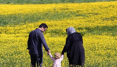 فشار اطرافیان برای فرزندآوری؛ خطر جدی برای زندگی مشترک