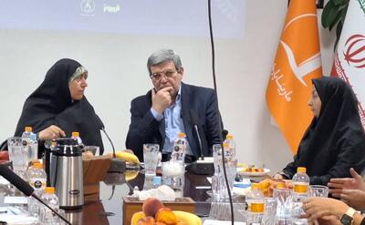 محمدبیگی: ۶ هزار میلیارد تومان برای مسکن معلولان و زنان سرپرست خانواردر مجلس مصوب شد