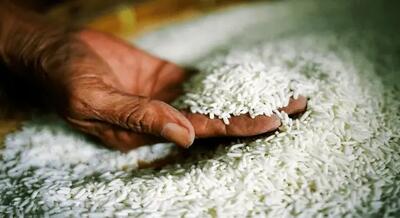 کاهش قیمت برنج هندی و پاکستانی