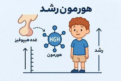 کودک چه زمانی به هورمون رشد نیاز دارد؟ + اینفوگرافیک