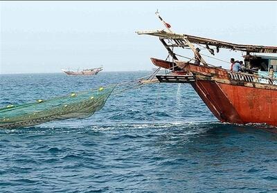 صید بیش از 2000 تن میگو در ساحل خلیج‌فارس استان بوشهر - تسنیم