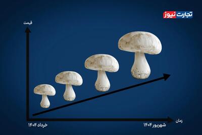 افزایش ۱۰۶ درصدی قیمت قارچ در ۳ ماه اخیر / چه عواملی در افزایش قیمت قارچ نقش داشتند؟
