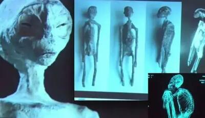 نتایج بررسی DNA مومیایی بیگانه نازکا نشان می‌دهد که بقایای مومیایی شده انسان نیستند!