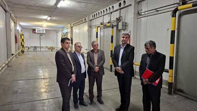 بازدید میدانی معاون پشتیبانی امور دام از سردخانه ایلام/آغاز عملیات بهینه‌سازی