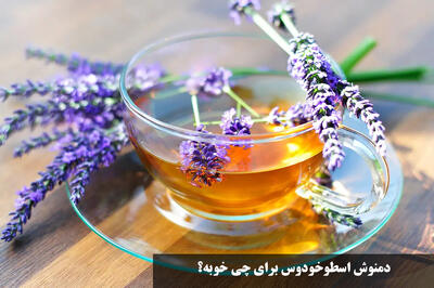 دمنوش اسطوخودوس برای چی خوبه؟ خواص آن برای کیست، پریودی و تنبلی تخمدان