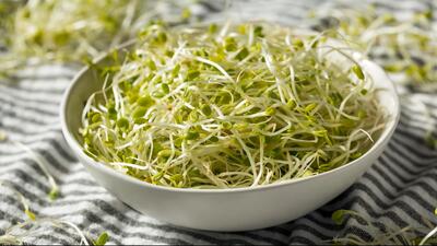 اهمیت تغذیه و پیشگیری از برخی بیماریها با مصرف جوانه دانه ها!