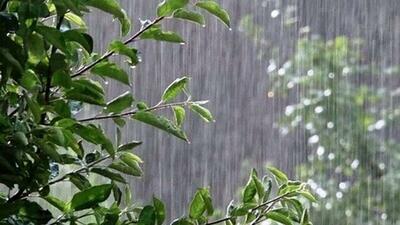 سواحل شمالی و برخی مناطق با کاهش دما و بارندگی مواجه می‌شوند