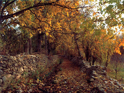 خوانسار؛ خنکای تابستان، زمزمه پاییز