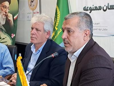 عزم جدی برای مقابله با کشت‌های ممنوعه در کرمانشاه
