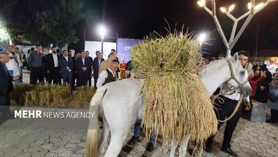 کیاشهر میزبان نخستین جشنواره شکرانه برنج شد؛روایت رنج کشاورز درشالیزار