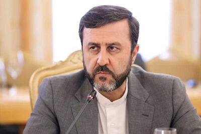 واکنش  غریب آبادی به فعال‌سازی مکانیسم ماشه در شورای امنیت