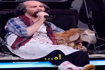 آواز شاد؛ تاتلیس ببییم رو برا عشقش خوند مجتبی شفیعی چون گوشت گرونه واس ببعی خوند اینو