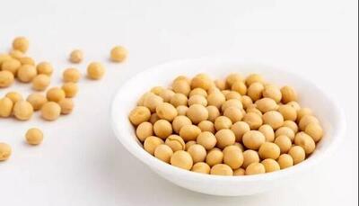 یک پروتئین گیاهی؛ از خواص و فرآورده‌های متنوع تا موارد احتیاط